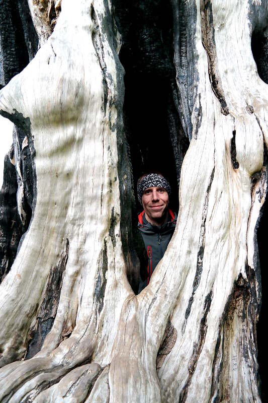 Jonas in einem Baum im Cornwall Park AucklandJonas in einem Baum im Cornwall Park Auckland