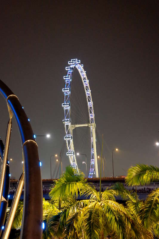 Singapur Flyer bei Nacht.