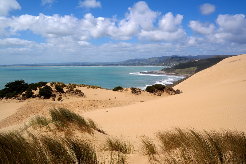 ahipara_dunes_06