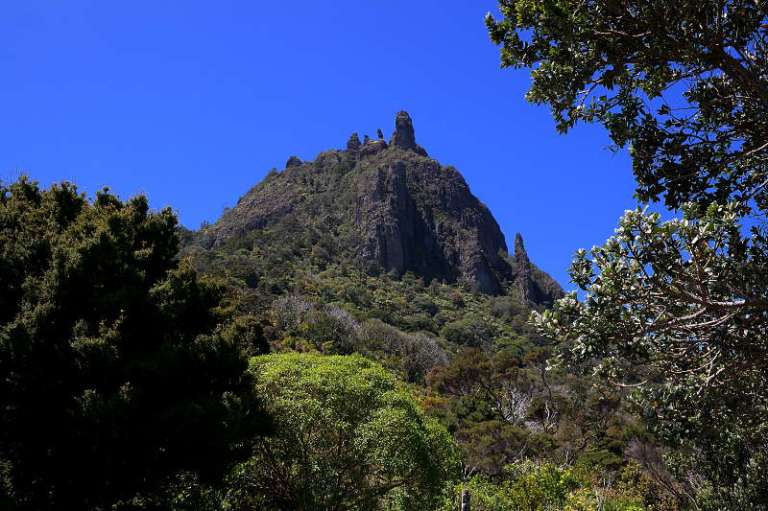Mt Manaia