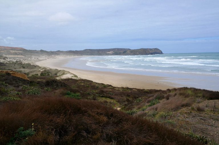 twilight_loop_track_02