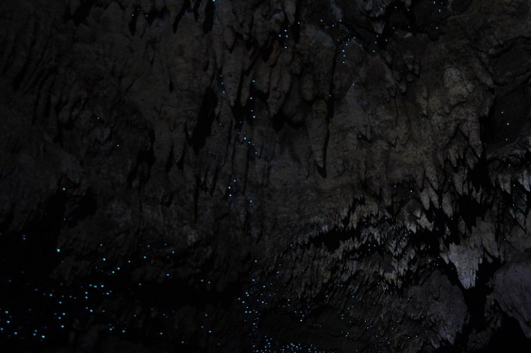 waipu_cave_06