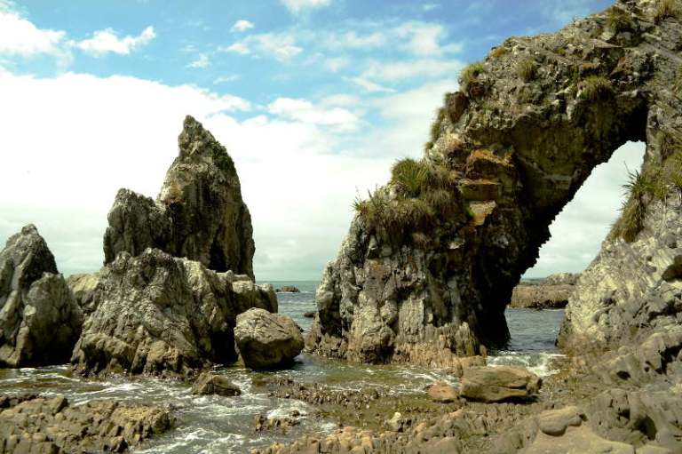 Mangawhai Cliff Top Walk