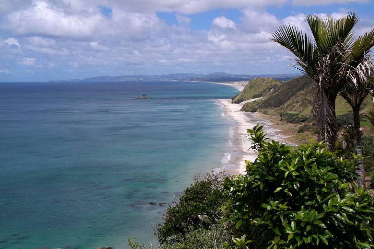 Mangawhai Cliff Top Walk