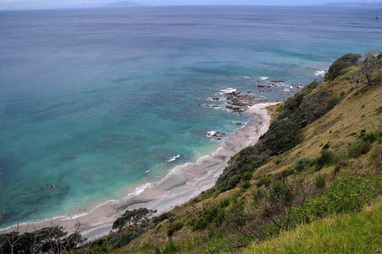 Mangawhai Cliff Top Walk