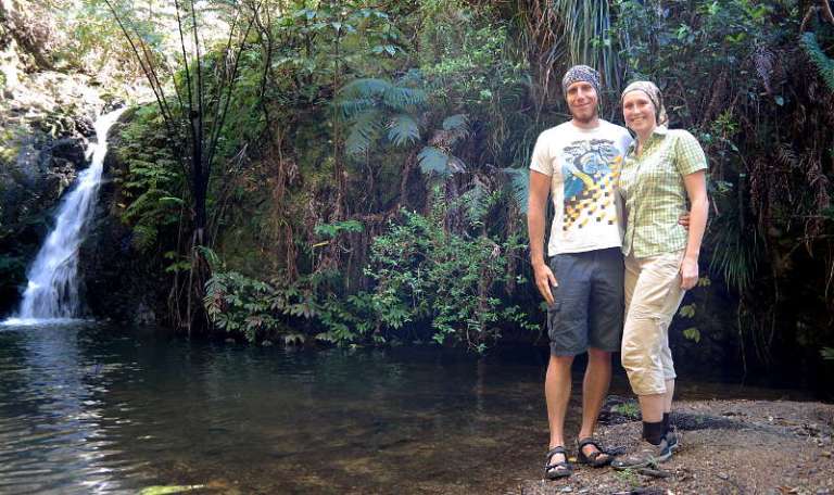 Tanekaha Falls Track