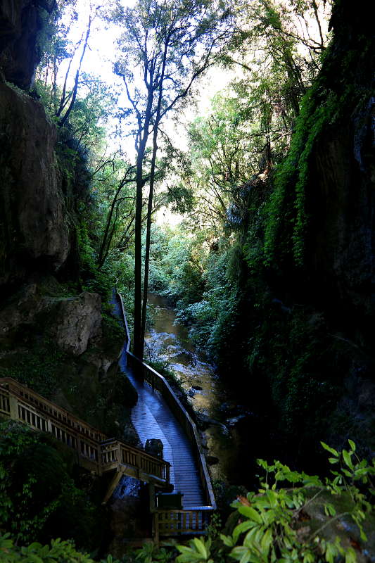 natural_bridge_06