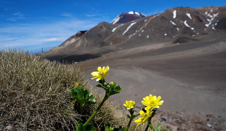 tongariro_crossing_30