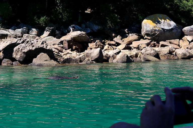 abel_tasman_mit_sonja_03