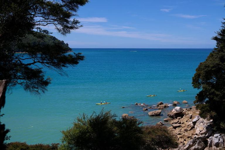 aqua_taxi_abel_tasman_14