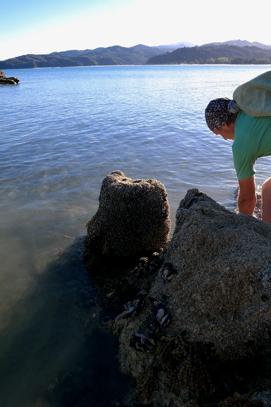 mussels_silvester_01