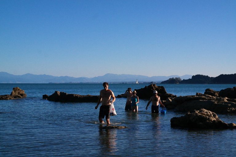 mussels_silvester_02