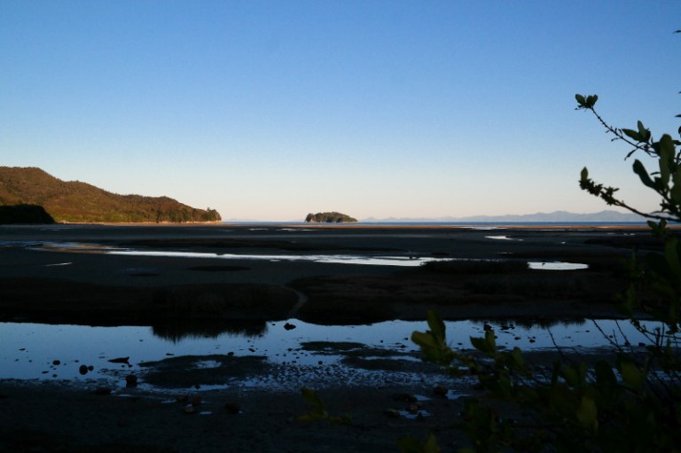 mussels_silvester_04