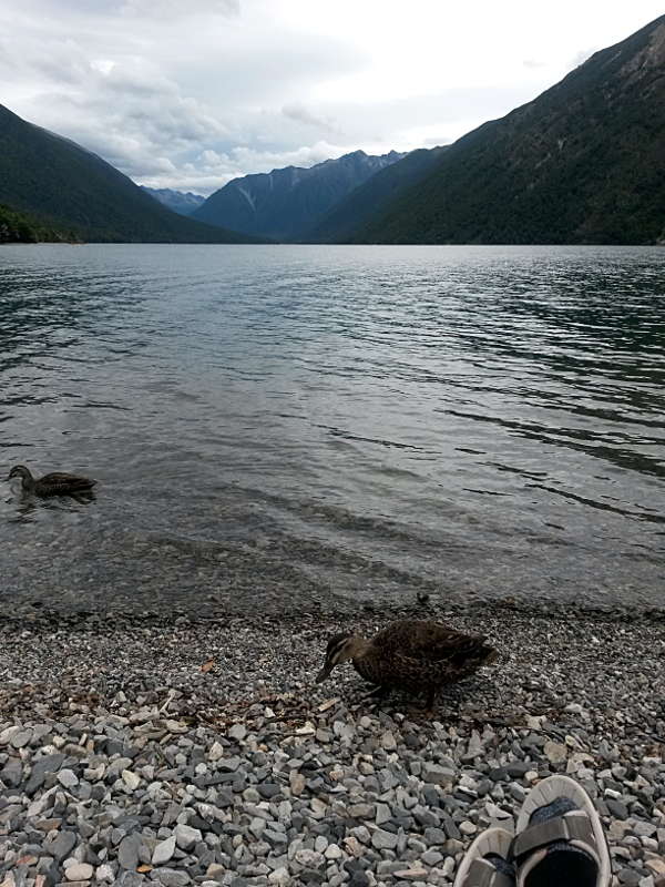 nelson_lakes_kajak_09