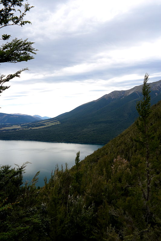 nelson_lakes_mt_robert_06