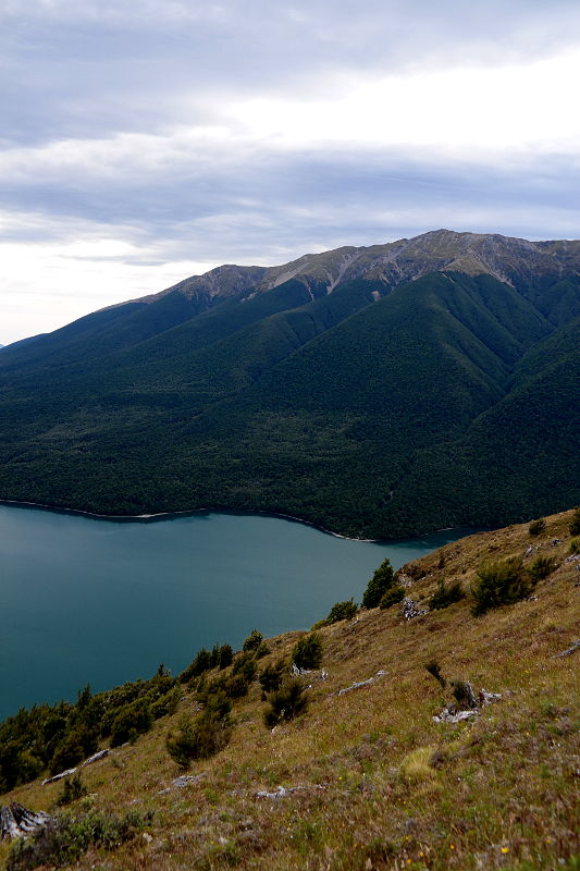 nelson_lakes_mt_robert_08