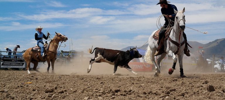 rodeo_02
