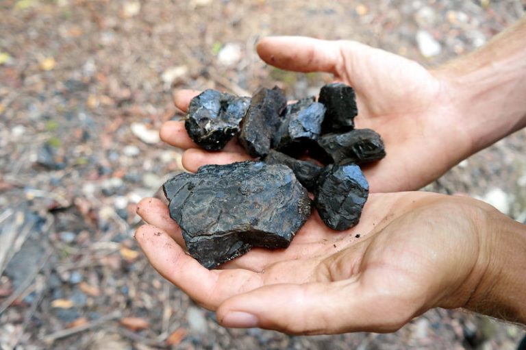 charming_creek_railway_02