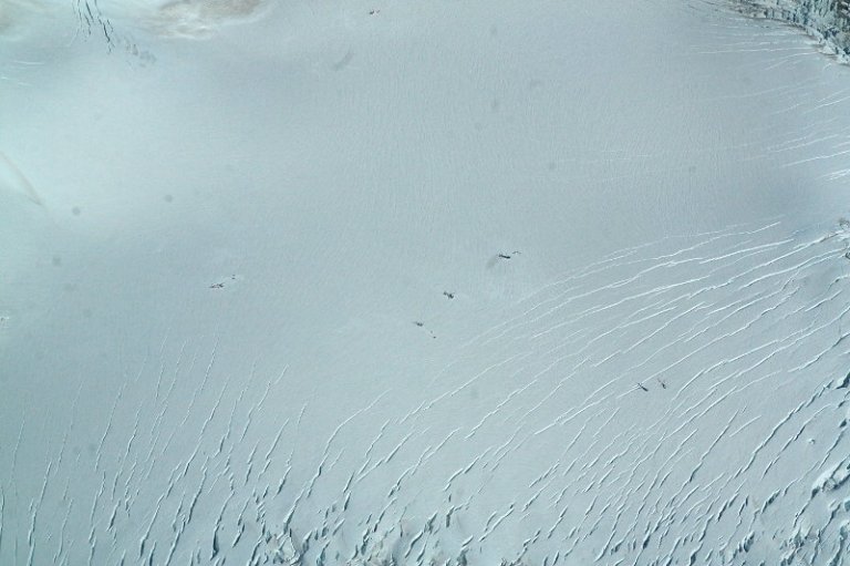 flight_mt_cook_gletscher_hokitika_34