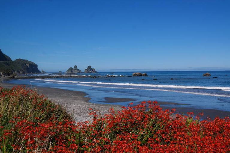 westcoast_beachwalk_01