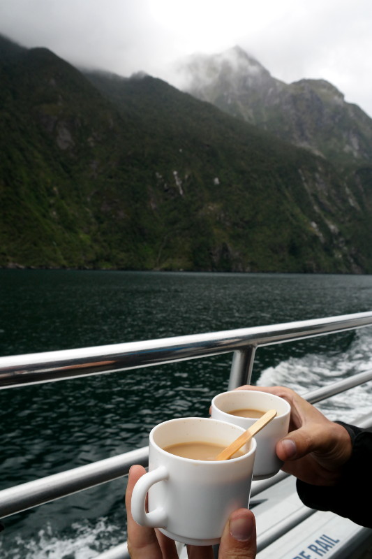 milford_sound_30