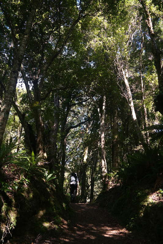 southern_coastal_track_02