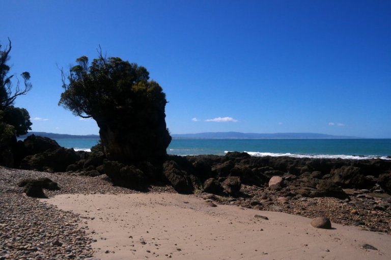 southern_coastal_track_04