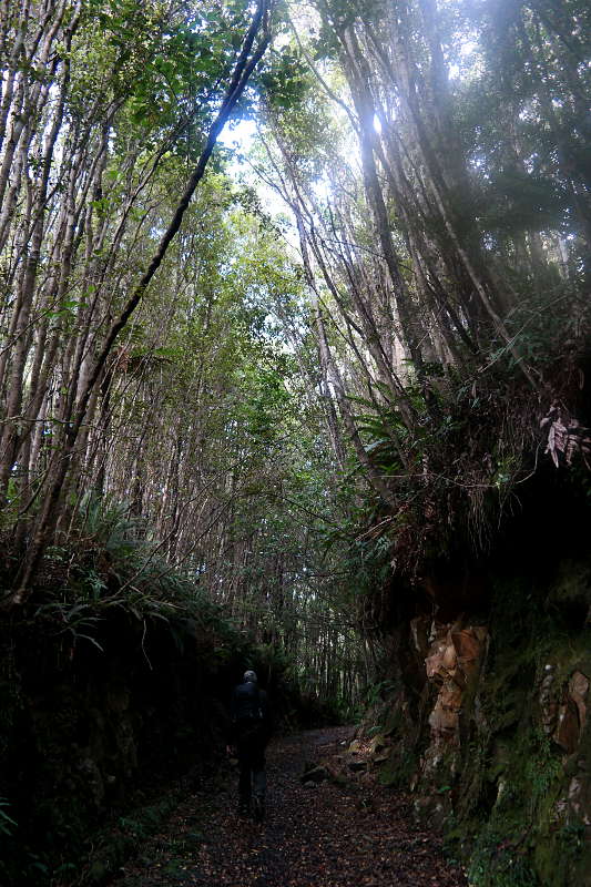 southern_coastal_track_13