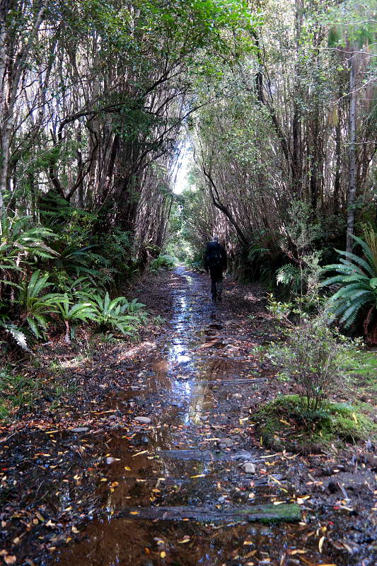 southern_coastal_track_15