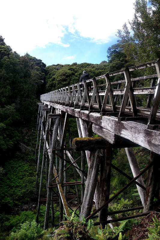 southern_coastal_track_16