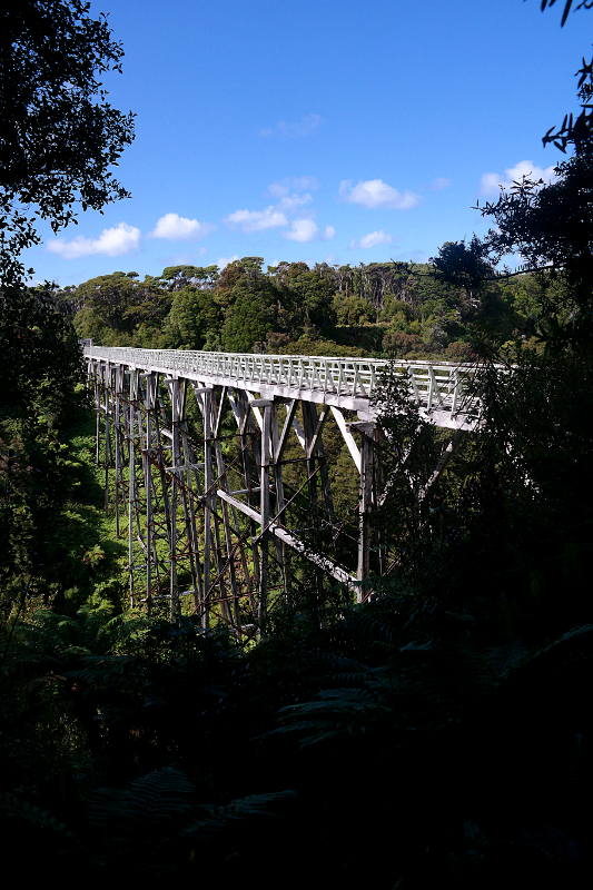 southern_coastal_track_17