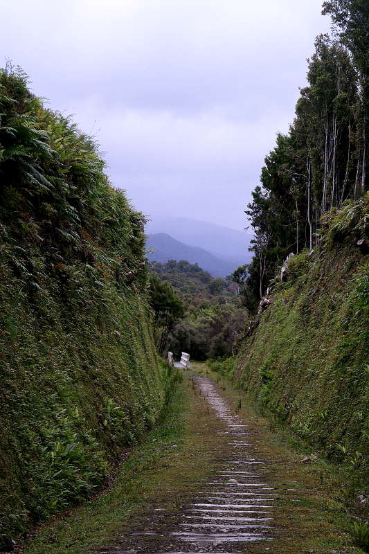 southern_coastal_track_25