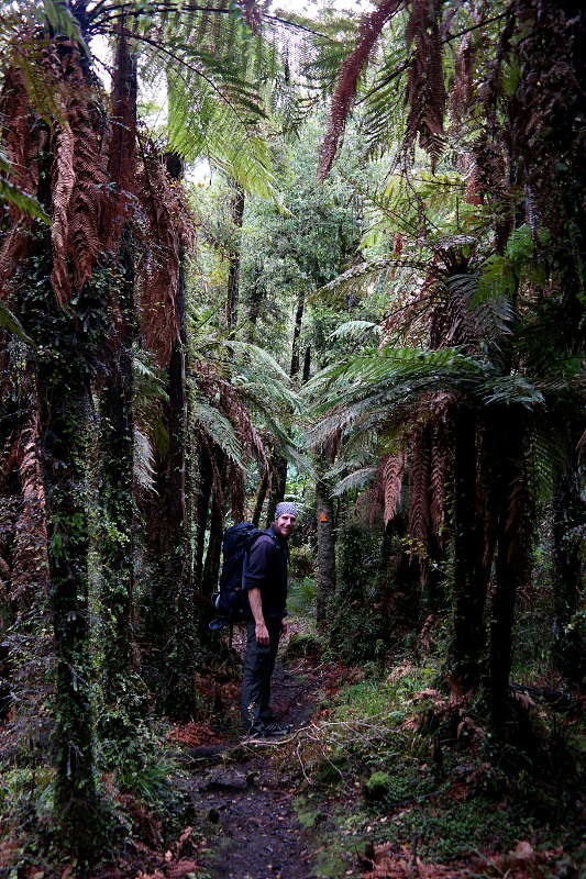 stewart_island_08_start_track