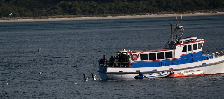 stewart_island_20_william_hut_fischerboot_albatross