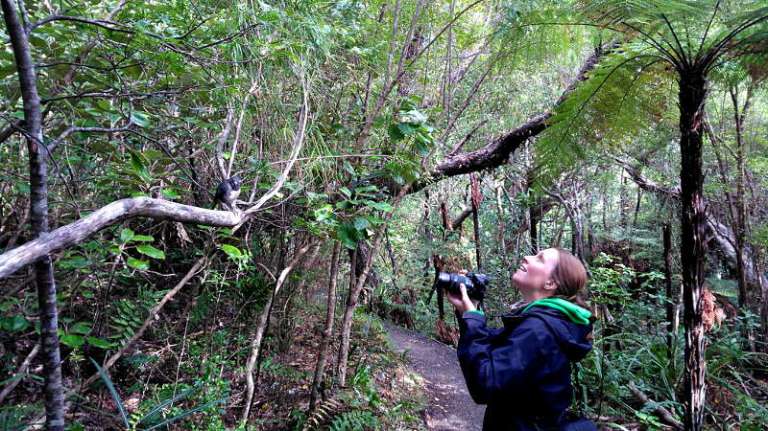 stewart_island_franzi_vogel