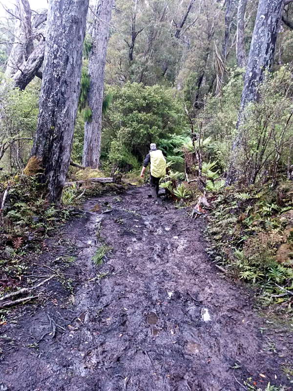 stewart_island_handy_04