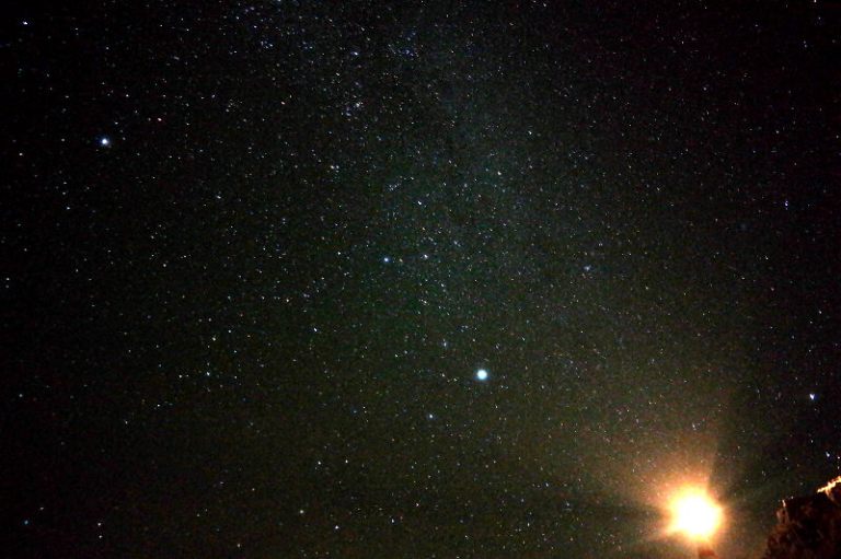 cape_palliser_sterne_02