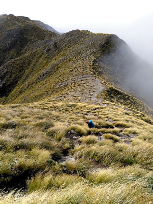 holdsworth_jumbo_circuit_05