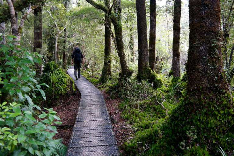 holdsworth_jumbo_circuit_14