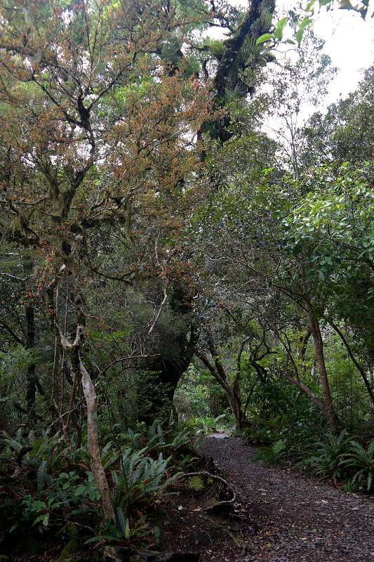 holdsworth_jumbo_circuit_15