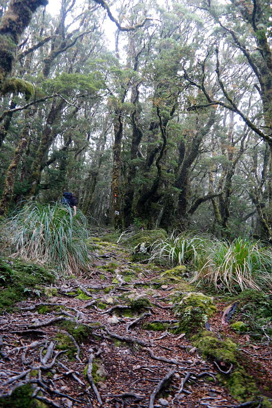 holdsworth_jumbo_circuit_18