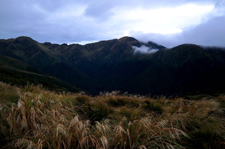 holdsworth_jumbo_circuit_23