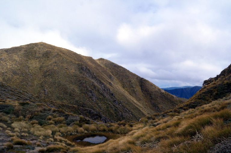 holdsworth_jumbo_circuit_40