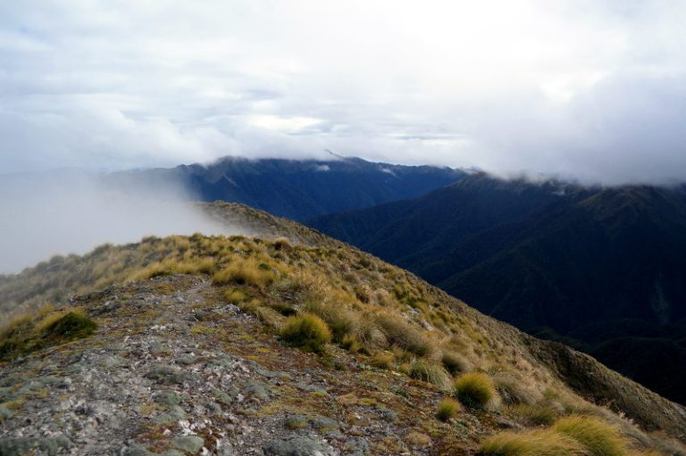 holdsworth_jumbo_circuit_42