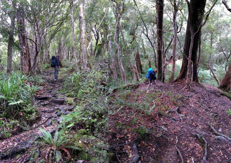 holdsworth_jumbo_circuit_aufstieg