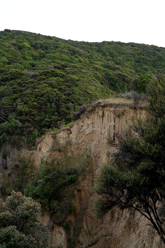 pinnacles_on_the_way_to_Kaikoura_01