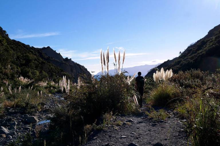 putangirua_pinnacles_07