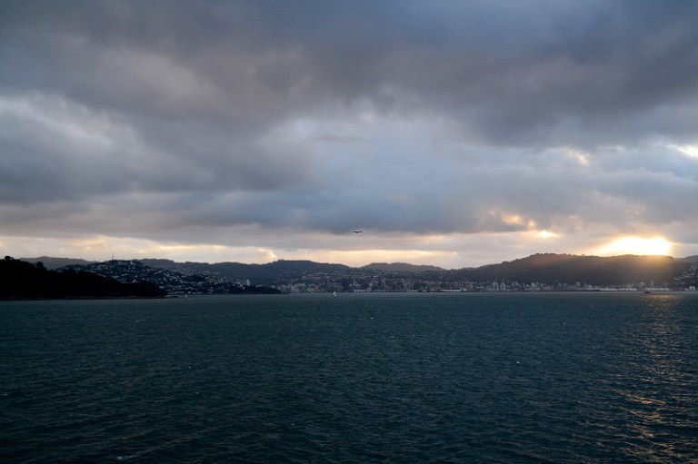 wellington_01