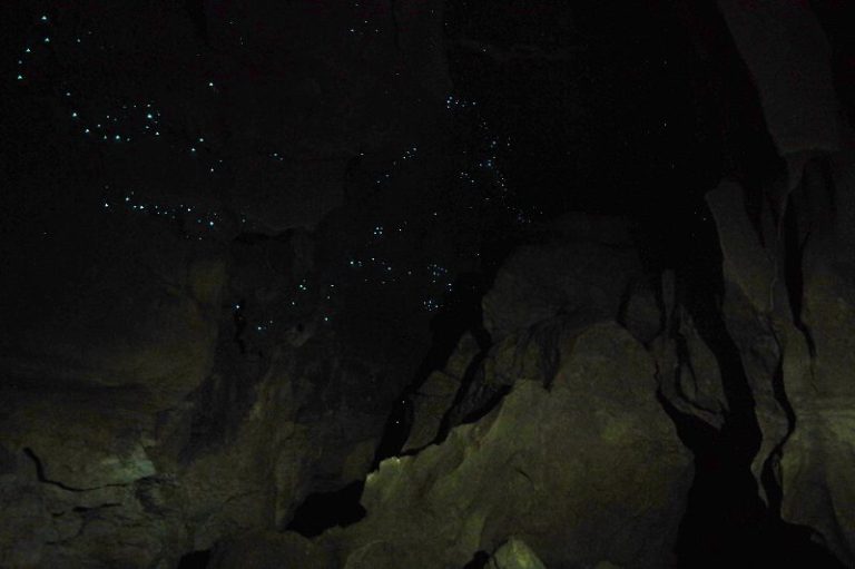 Waipu Cave