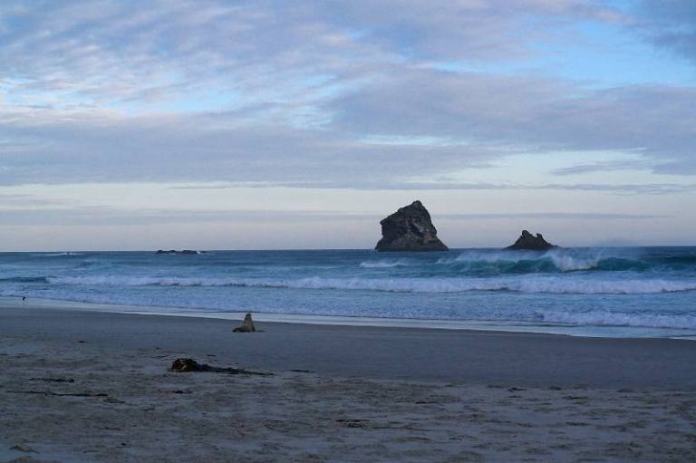 Sandfly Bay Otago Peninsula